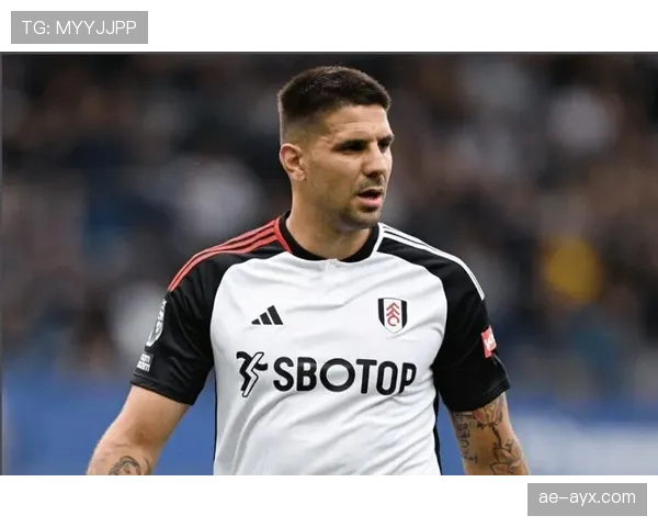 米特罗维奇比赛稳定性