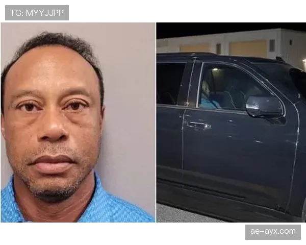 泰格·伍兹从豪宅走出来那一刻，周围阵仗像走秀，我提着菜的尴尬感瞬间被碾压